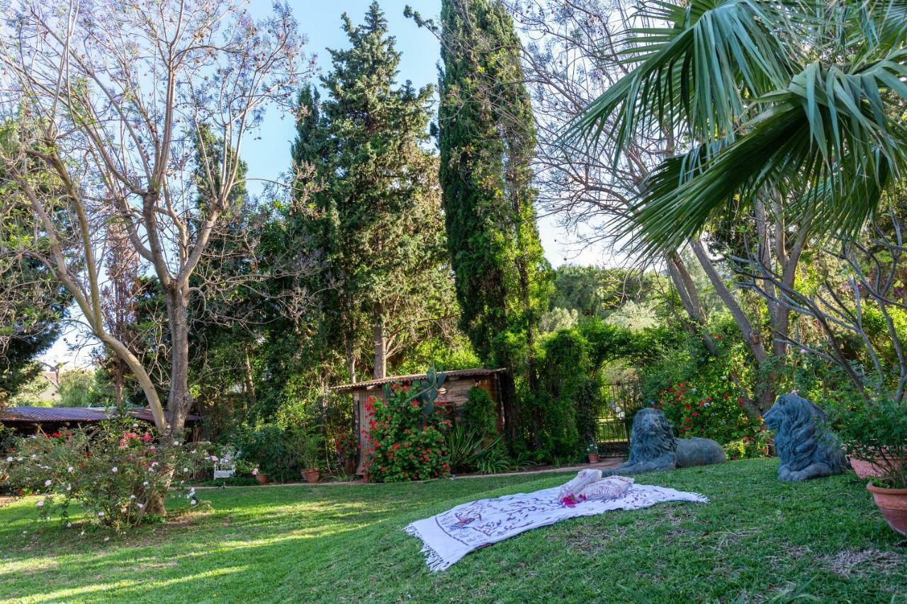 Il Giardino Di Michela By Domusicily Villa Mondello Exterior foto