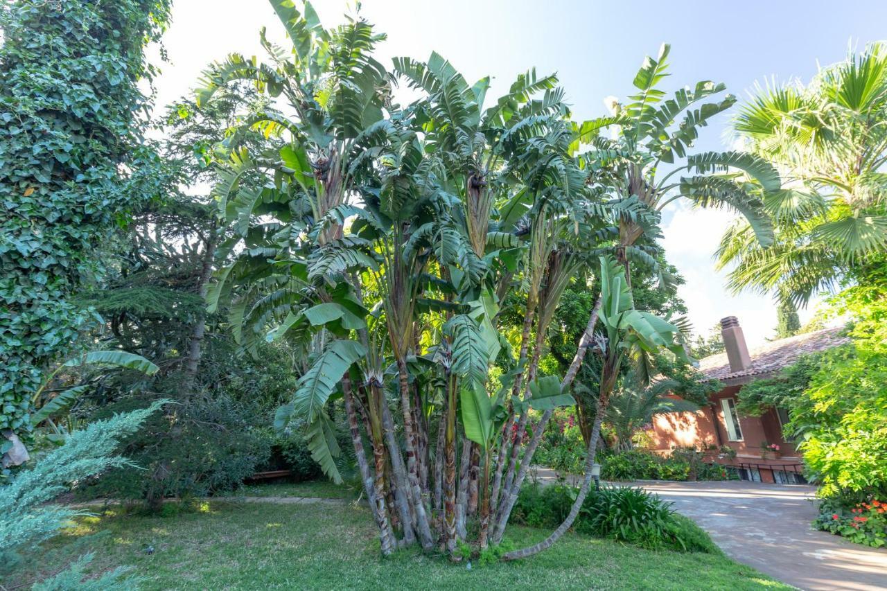 Il Giardino Di Michela By Domusicily Villa Mondello Exterior foto